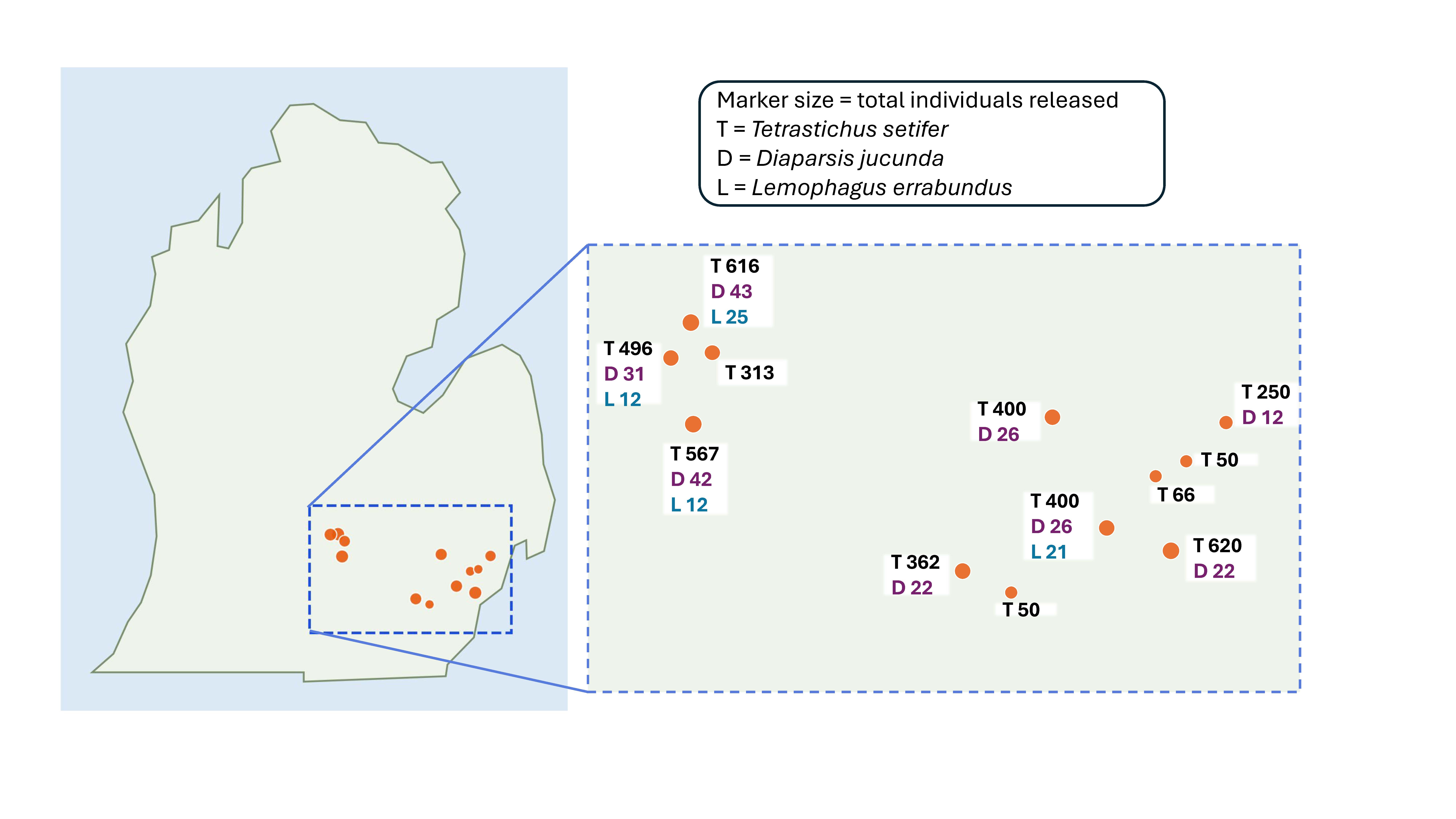 Map of Michigan highlighting 11 release sites where three species of parasitic wasps were released as biological control agents for the lily leaf beetle. An enlarged inset of southern Michigan shows the release locations. Marker size represents the total number of wasps released at each site, and labels indicate the number of individuals released for each species: Tetrastichus setifer (T), Diaparsis jucunda (D) and Lemophagus errabundus (L). Releases ranged from 50 to 620 T. setifer, 12 to 43 D. jucunda and 12 to 25 L. errabundus per site, with some locations receiving only one or two of the three species.